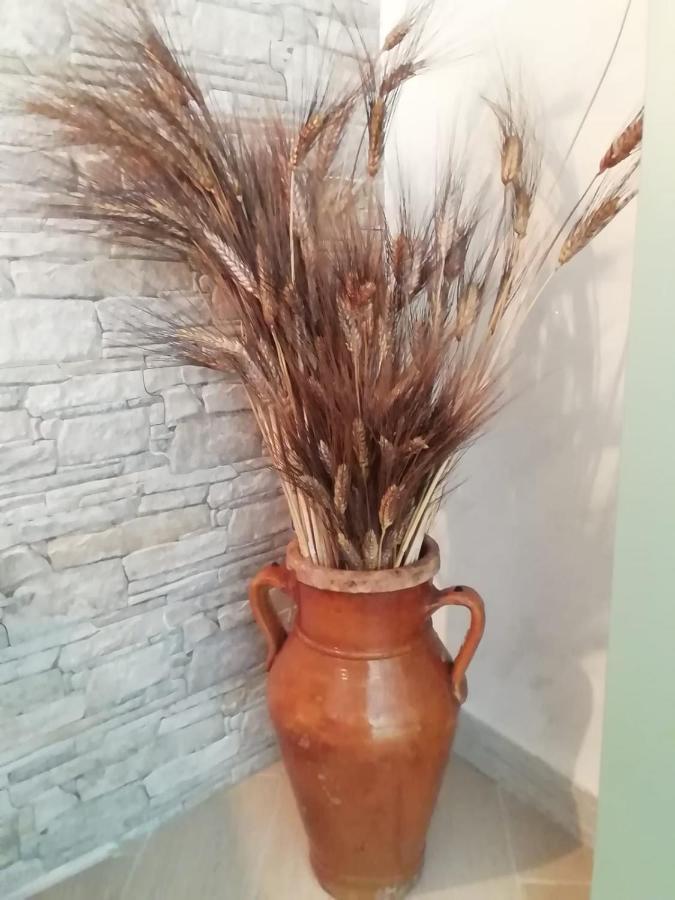 卡塔尼亚Casa Maravigghia别墅 外观 照片